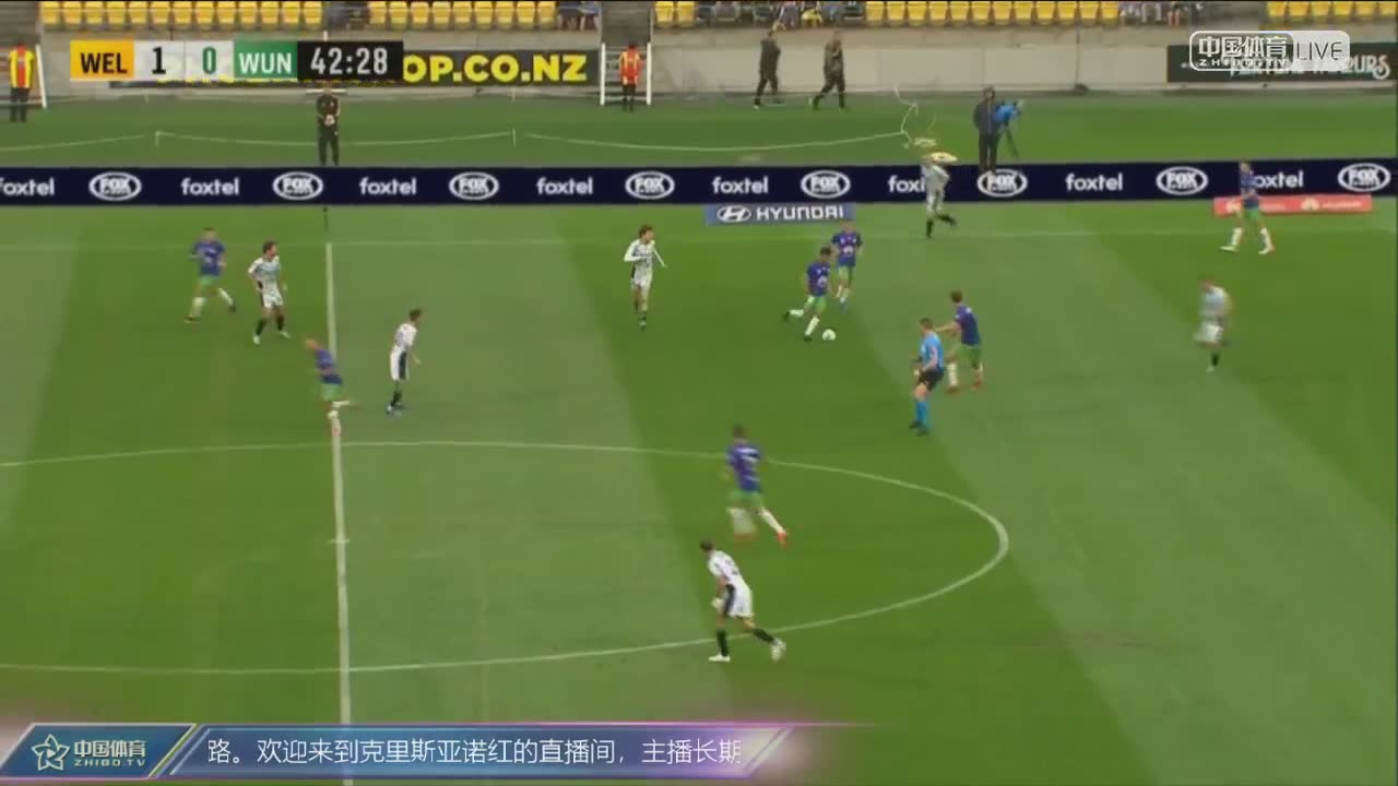 澳超 惠宁顿凤凰VS西部联